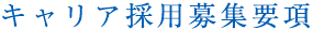 キャリア採用募集要項