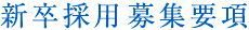 新卒採用募集要項